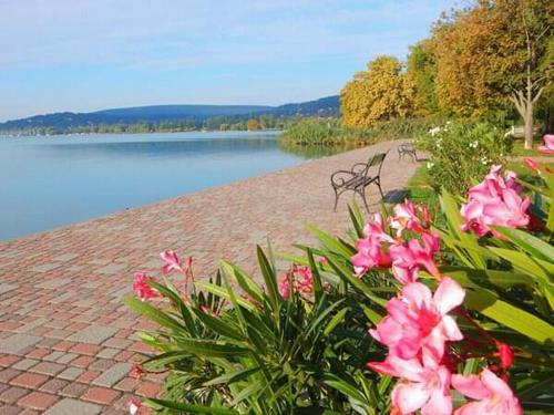  Zsuzsanna in Balatonalmádi