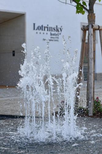 Lotrinský hotel - image 12