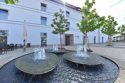 Lotrinsky hotel in Velké Pavlovice