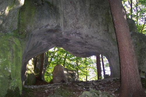 Pension Frauenschuh - image 6