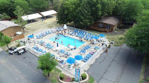 Island Club #95 - image 6