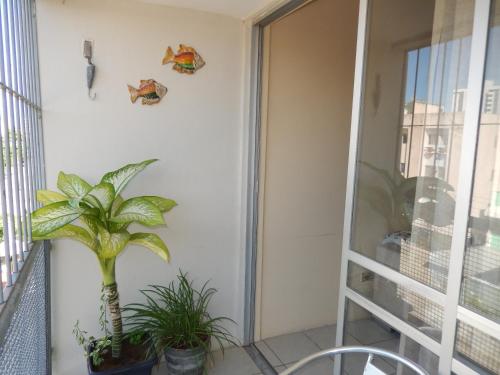 Terraza/balcón, APTº EM OLINDA CASA CAIADA in Jardim Atlantico