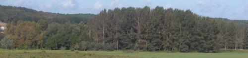 Gîte La Croix Des Chemins - Location saisonnière - Allonnes