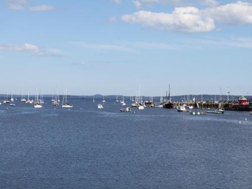 Suites at Belfast Bay - image 8