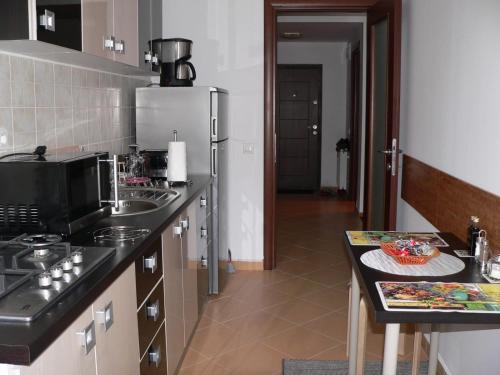Sinaia Holiday Suite