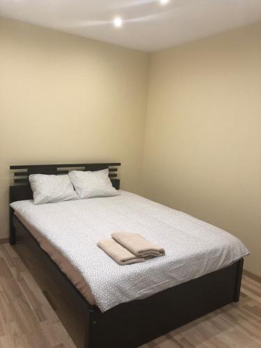 Riverside Embassy apartment 2. Spacious/free parking, Riga (foto 6)
