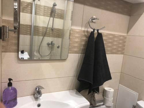 Riverside Embassy apartment 2. Spacious/free parking, Riga (foto 10)