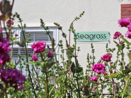 Seagrass