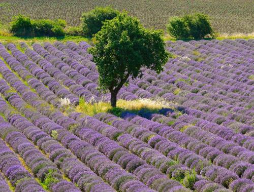 Hotel Cristol - image 12