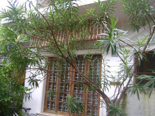 Johnson Homestay – Cochin, NE