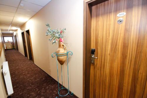 Hotel Max Inn - image 6