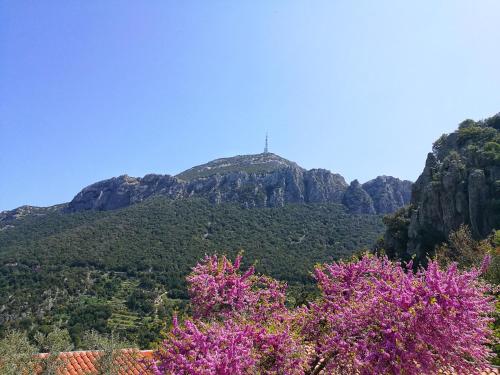 Hotel Sant´elene in Dorgali