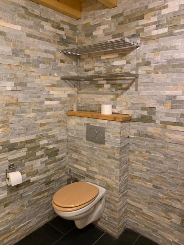 CHALET Cap Des Alpes avec SAUNA ET JACUZZI prive en VALAIS