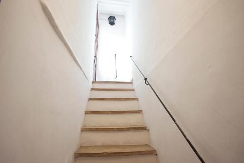 Turismo de Interior Ca Sa Padrina - image 9