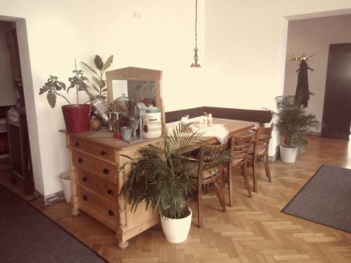 Fränkischer Hof Hotel in Pegnitz - Inhaber Schlabeck Thomas - image 7