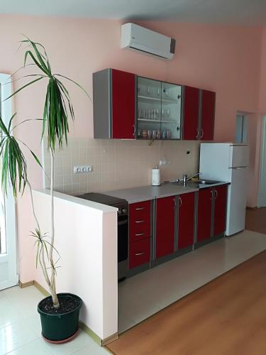 Apartman Rosanda 1 in Premuda