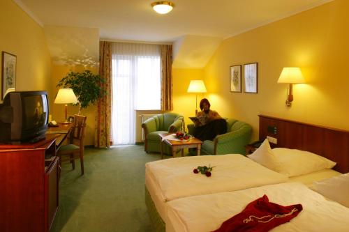 Ringhotel Hotel Zum Stein - image 4