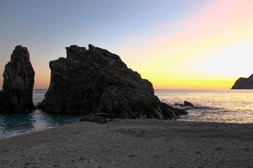 "Home away from home" "Home away from home"