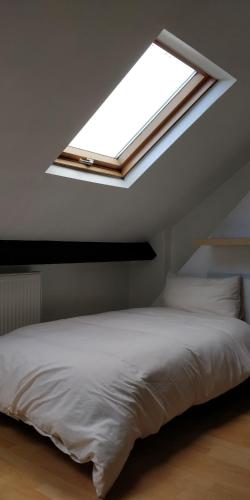 Extensive & comfortable house, central Cardiff