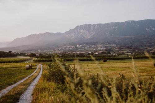 Kmetija Tomažič vinska klet - winery - Apartment - Vipava