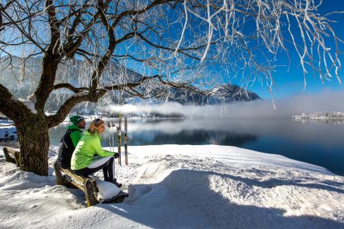  Apartment an der Traun in Bad Aussee
