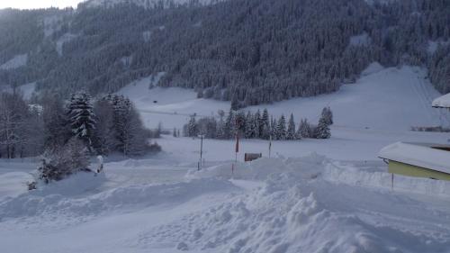 Haus Monika - image 14