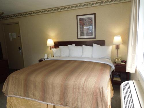 1 queen bed