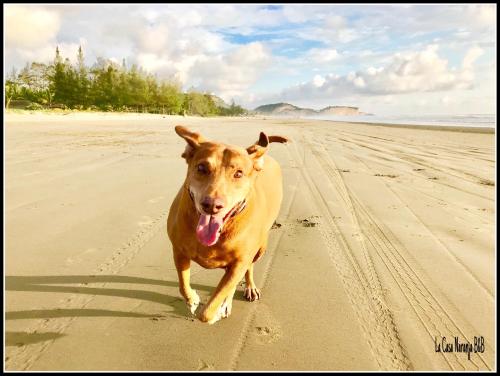 La Casa Naranja Bed and Breakfast in Олон