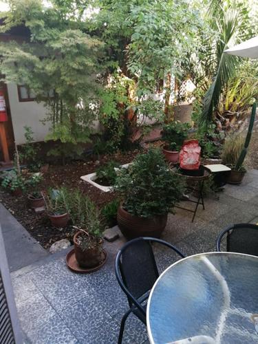 Newen Kara Hostel