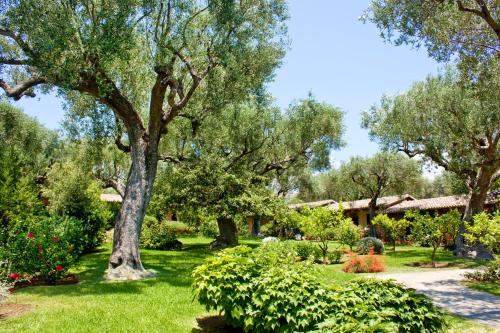 Happy Village – Marina di Camerota, UT