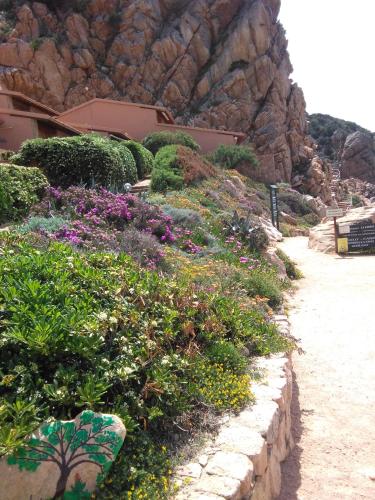 Costa Paradiso Villaggio Tamerici - image 8