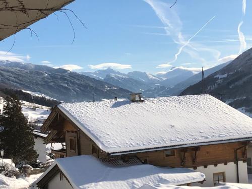 Skats, Alpapart - Innsbruck in Elbogena