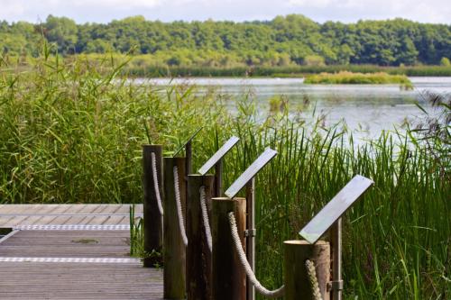 Hotel Landhaus Seela - image 2