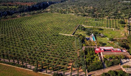 Finca Son Cifre Manacor by PriorityVillas