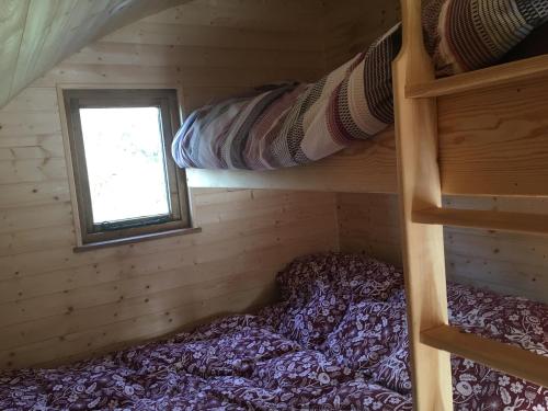 Brynllwyd Glamping in 德維爾布里奇