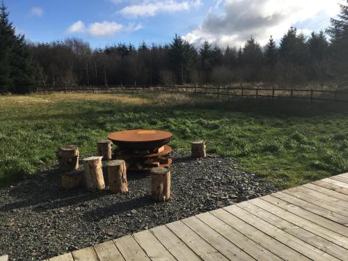 Brynllwyd Glamping in 德維爾布里奇