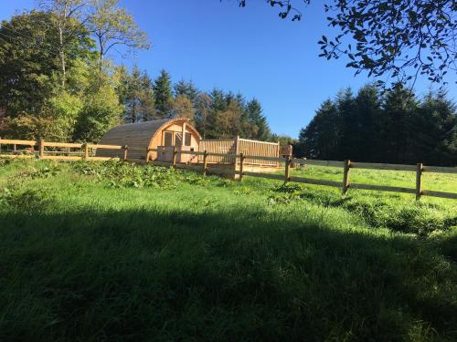 Brynllwyd Glamping in 德維爾布里奇