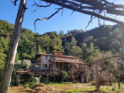  Pastoral Valley Farm in Fethiye
