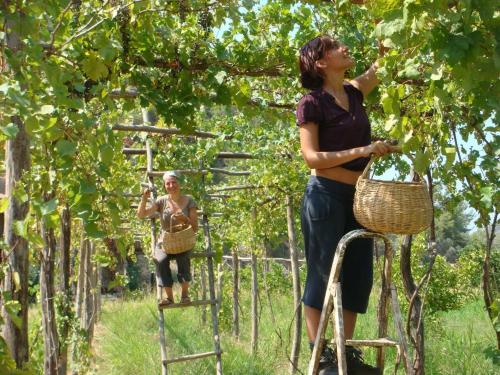  Pastoral Valley Farm in Fethiye
