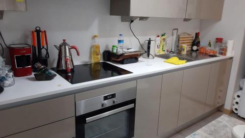 Dumlupınar mah. Doruk sok. Baysaş Istanbul 216 2.Etap C blok no:45 kat:5/33