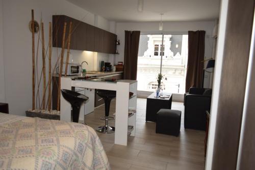 New Apartment in Recoleta, Buenos Aires (fotografie 10)