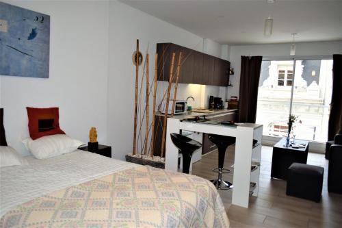New Apartment in Recoleta, Buenos Aires (fotografie 2)