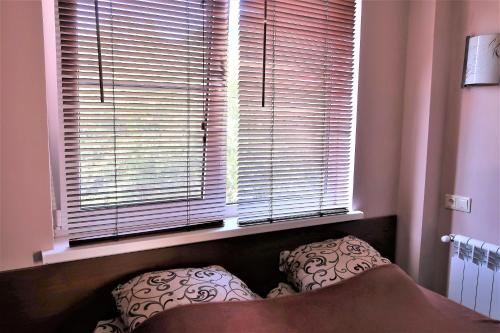 Guest House Shokolad