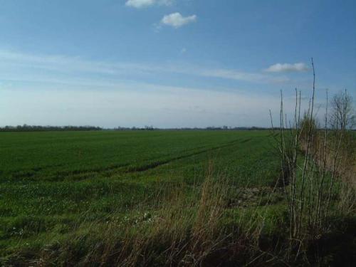 景觀, Zur alten Schmiede in 庫薩文