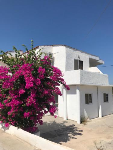  Christa Studio, Pension in Kolymbia