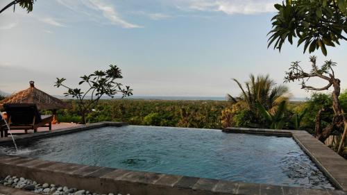 Swimming pool, Menjangan Hill in Menjangan