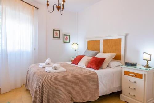 Costa Africana - image 12