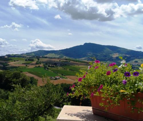 Agriturismo Il Vecchio Acero