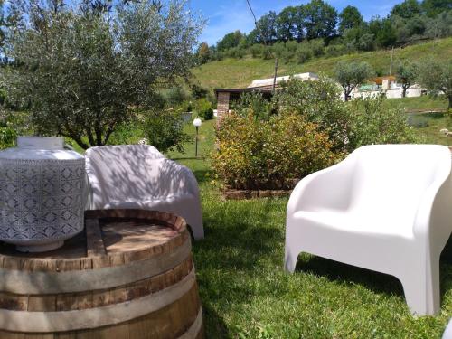 Dārzs, Agriturismo Il Vecchio Acero in Montalto delle Marche
