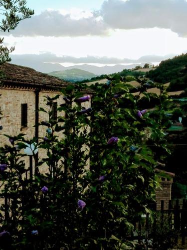 Agriturismo Il Vecchio Acero